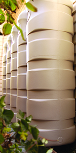 Brisbane Water Saving Measures